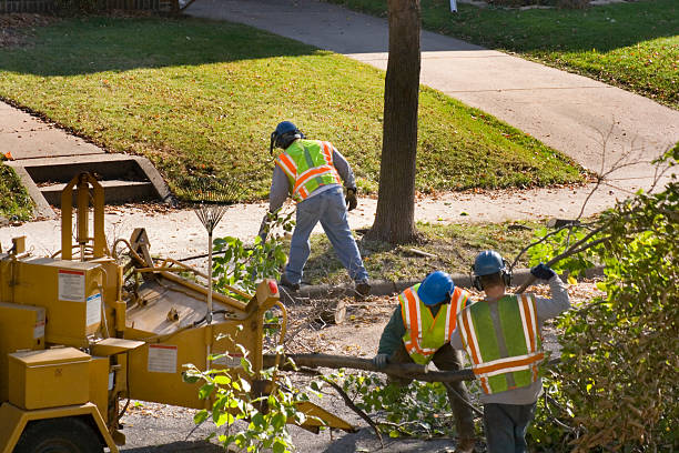 Mulching Services in South Gate, CA